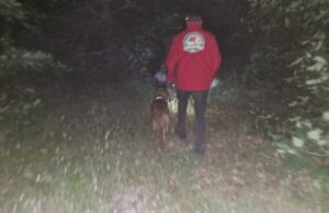 Исчезна стружанец, отишол да бере печурки