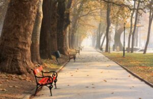 Наутро услови за слаба магла, преку денот сончево со мала облачност