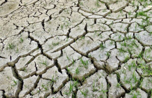 Студија: Интензитетот на екстремните временски услови се зголеми со климатските промени