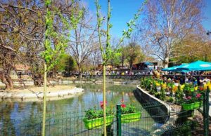 ЛДП: Пломбирање на Зоолошката градина додека не се реши градскиот хаос