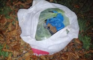 Пронајдена дрога во Тетово, приведени пет лица