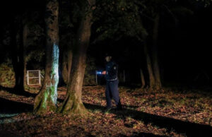 Човечки скелет без глава е пронајден во шума во БиХ