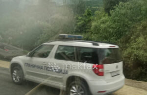 Рудник во Македонска Каменица испуштил тешки метали во реката, рибите отруени – МВР поднесе кривична