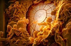 (Видео) Ватикан создаде дигитална реплика на базиликата Свети Петар