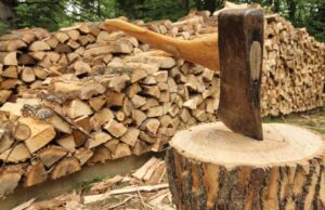 Уапсени дрвокрадци во ресенско: При контрола на трактор пронајдени огревни дрва без документација