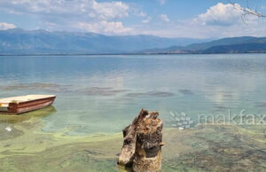 Спасено лице од давење во Дојранско езеро, акција на МВР – Гранична полиција