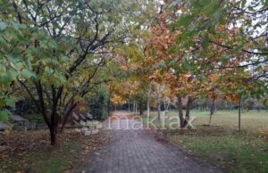 Утрото студено, преку денот сончево со слаб ветер