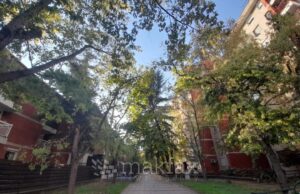 Наутро студено, во текот на денот сончево