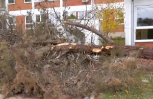 Силниот ветер предизвика штети во Штип: оштетен покрив на училиште, паднати дрвја на повеќе локации