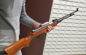 Маж зема огнено оружје и пукаше кон улични кучиња во Драчево: скопјанка со повик до ЈП „Лајка“ да реагираат