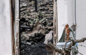 По 150.000 денари итна помош за секој настрадан во пожарот во Кочани