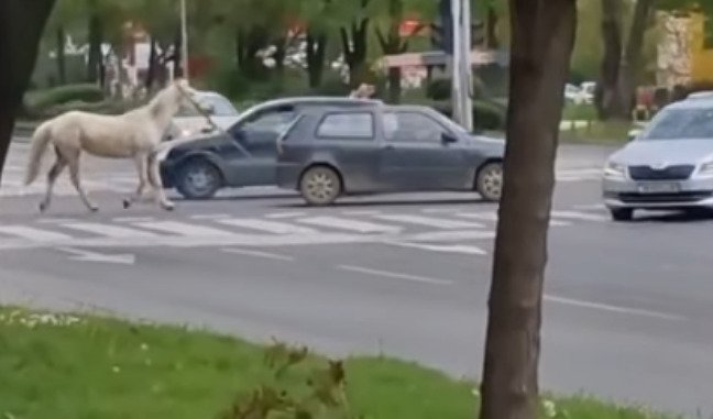 Screenshot-2025-04-18-103936