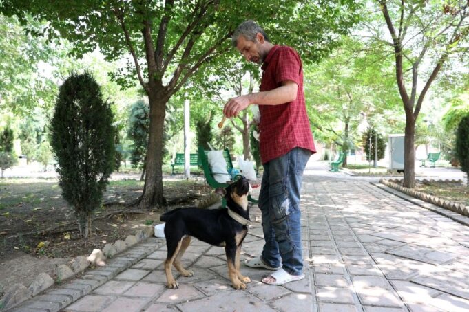 2492bfc3-f5fe-447f-a44c-80c221e1901c