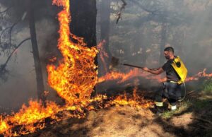 Во Албанија активни се 14 пожари, горат големи површини