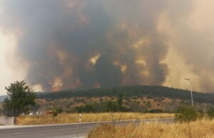 Нормализиран сообраќајот кон Граничниот премин Јажинце