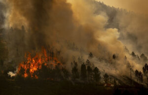 Голем пожар во Шпанија, евакуирани 1.000 луѓе