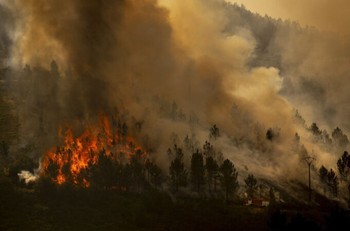 Screenshot-2025-08-11-070433