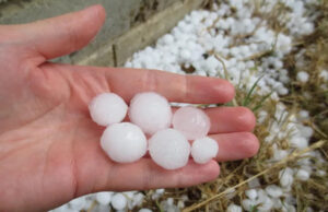 Бура направи хаос во делови од Европа: град со големина на тениско топче уништи градини и посеви