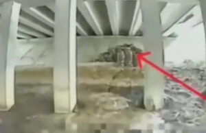 (Видео) Украинците дигнаа во воздух два клучни руски моста