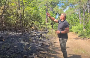 Избегната катастрофа кај Брезница, пожарот се движи кон Козјак