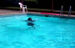 Ужас на базен во Швајцарија: 8-годишно дете случајно уби маж