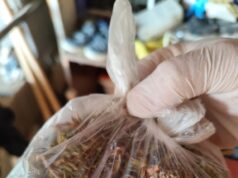 (Фото) Претрес во валандовско, пронајдени се дрога, оружје и муниција, приведено едно лице