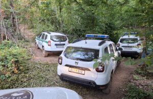 Откриена бесправна сеча на дрва во Струшко, дрвокрадците избегале