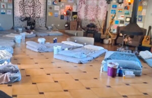 Акции во духовни центри во Шпанија: Пронајдена ајахуаска, отров од жаби