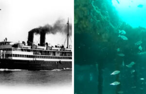 (Видео) „Јадранскиот Титаник“ потонал пред 111 години: денес е атракција за нуркачите во близина на омиленото место на Тито