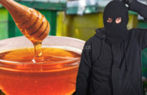 Крадци го разбиле катанецот и украле сандаци со пчели и мед во Штип