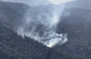 Седум пожари денеска во Македонија, три се изгаснати
