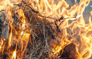 Приведен жител на Горно Оризари поради предизвикување пожар