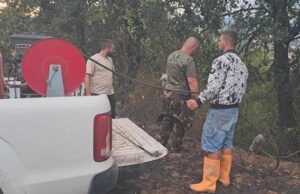 Паднати дрвја, настрешници и покриви, оштетени моторни возила и скинати кабли на ЕВН по вчерашното невреме во Скопје