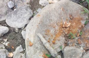 Пронајдени неексплодирани гранати од Првата светска војна во близина на ГП Меџитлија и во Старо Градско