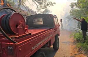 ДЗС: Борбата против огнот во ловиштето Јасен продолжува