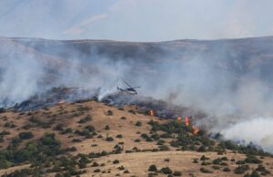 Во Македонија 18 пожари на отворено