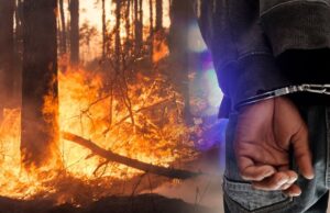 Лишени од слобода двајца турски државјани поради предизвикување пожар во Горно Нерези