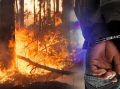 За шест месеци, 2.012 пожари на отворено во Македонија, уапсени 56 лица за подметнување