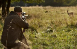 Уапсени двајца битолчани за „незаконит лов“, во нивното возило се пронајдени две уловени срни