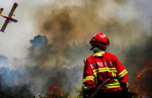 Зошто уште не се фатени сите потпалувачи и нарачатели на пожарите, прашуваат од Зелен хуман град