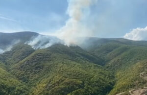 Два активни пожари во државата, два се под контрола, а 29 се изгаснати