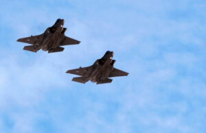 Кубилијус: „Изградете ѕид против беспилотни летала“