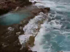 Трагедија во Црна Гора: девојка од Србија се удави во близина на Тиват