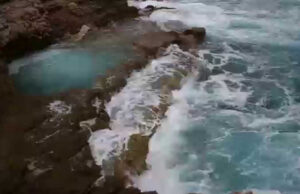 Трагедија во Црна Гора: девојка од Србија се удави во близина на Тиват