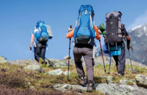 Планинари од Белгија спасени од полициски тим: биле нападнати од овчарски кучиња, па бегајќи од нив се качиле на столб за мобилна телефонија