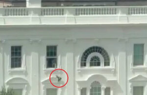 (Видео) Црна кеса фрлена од прозорецот на Белата куќа