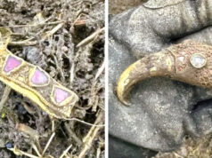 Татко од забава зел детектор за метал, неколку часа подоцна пронашол вистинско богатство