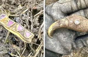 Татко од забава зел детектор за метал, неколку часа подоцна пронашол вистинско богатство