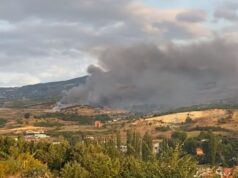 Постои сомнеж дека пожарот во Дрисла е подметнат