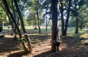 Сончево со мала облачност, максималната температура до 34 степени